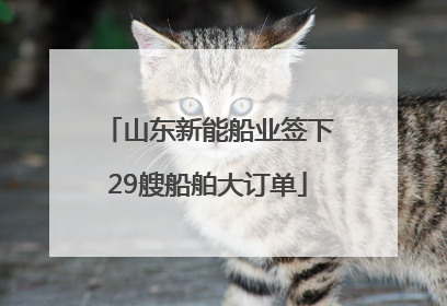 山东新能船业签下29艘船舶大订单